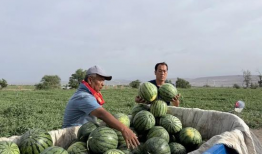 吃瓜爆料在线观看一区,独家视角，带你领略热门事件幕后真相