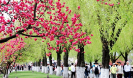 花红柳绿吃瓜爆料汇总,娱乐圈风云再起，精彩瞬间大盘点